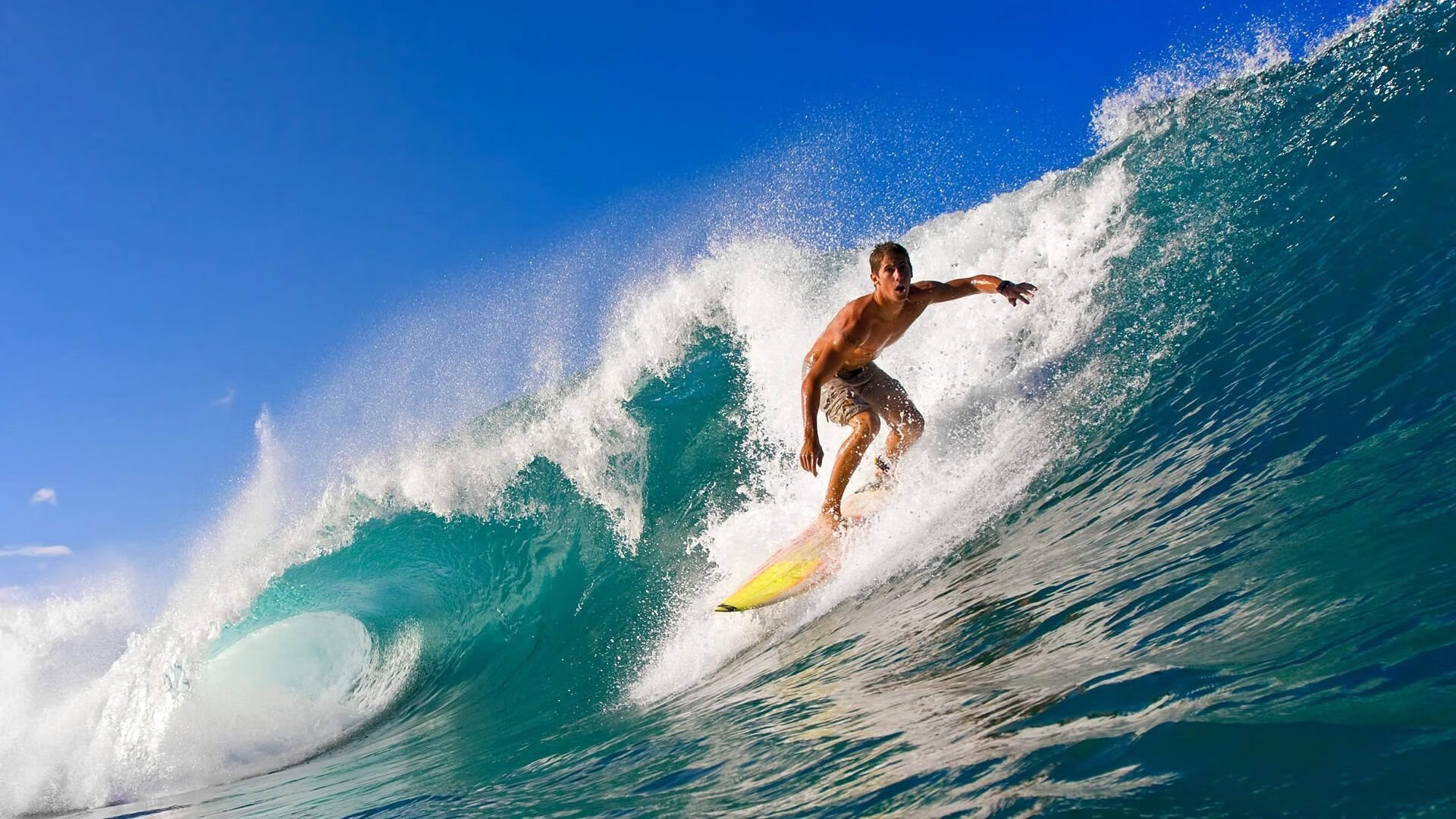 未来十年：联盟战略规划带来的变革，联盟的未来是属于你的